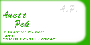 anett pek business card
